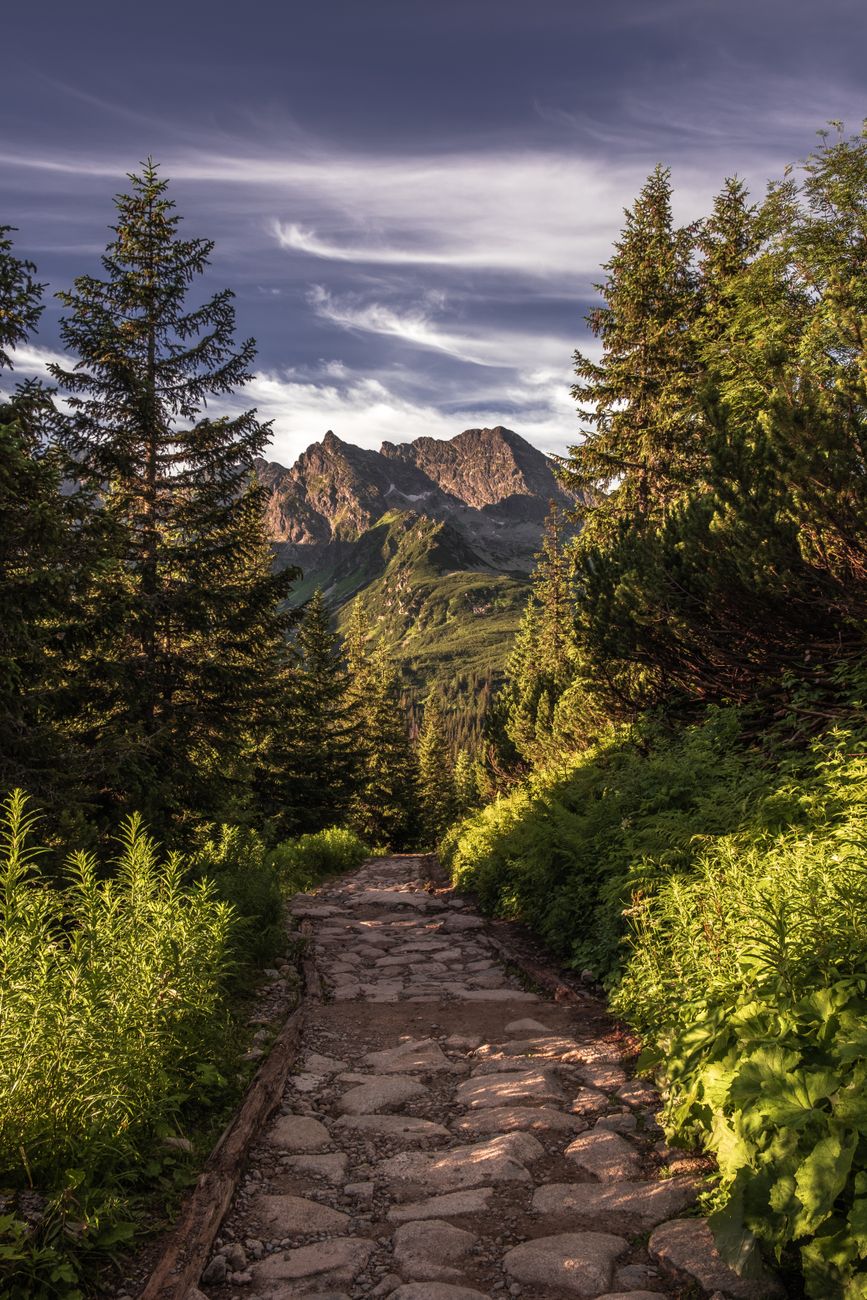 Mountain Trail